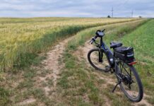Duotts C29 – Czy warto zainwestować w ten elektryczny rower?